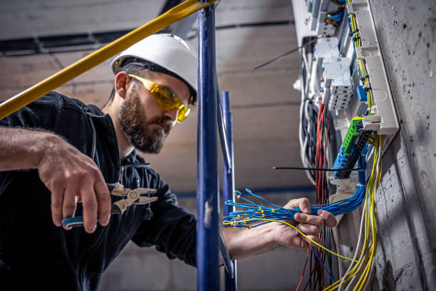 Best Electric Panel Repair  in Pine Grove, CA